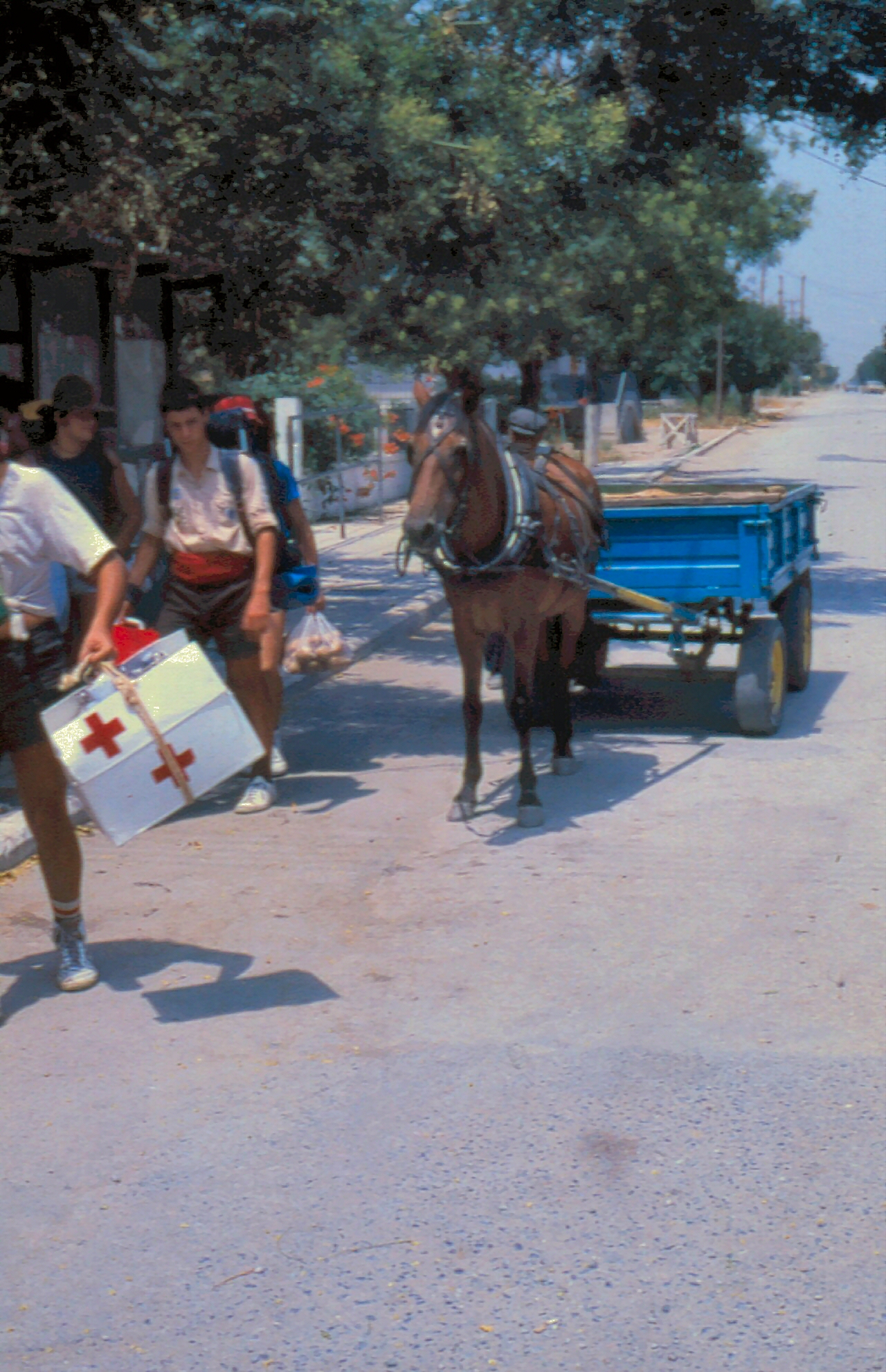 1987 Κοινότητα Αξιός - Όλυμπος - Κατερινόσκαλα